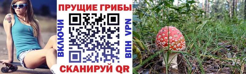Галлюциногенные грибы мицелий Малоархангельск